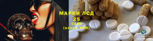эйфоретик Аркадак