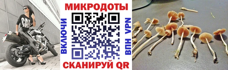 Псилоцибиновые грибы MAGIC MUSHROOMS  Нестеров 